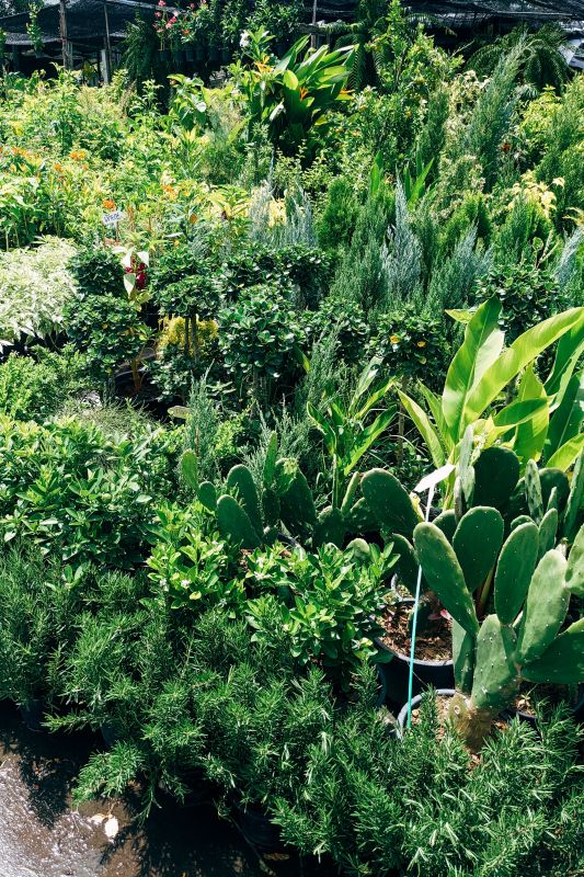 Trade Enhance Nursery Solutions